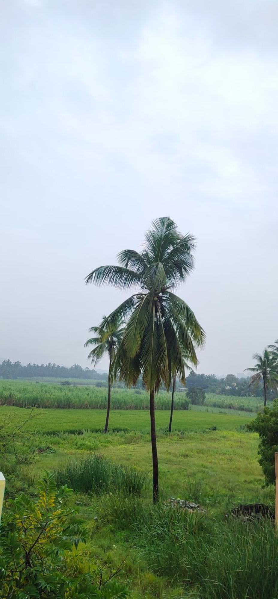 Raj Homestay Хампи Экстерьер фото